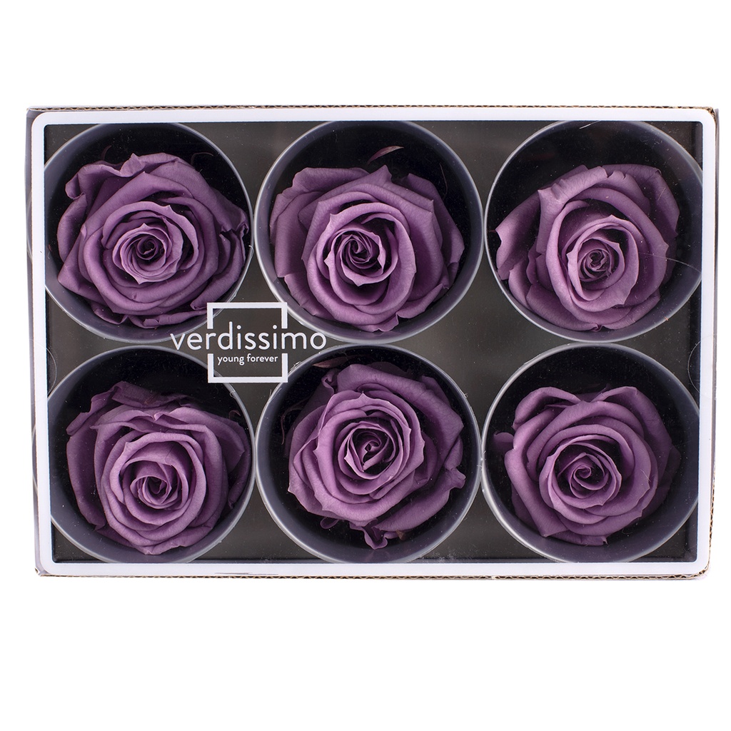 RST/2830 Têtes de Roses Standard stabilisée Lilas W-Box 6 têtes