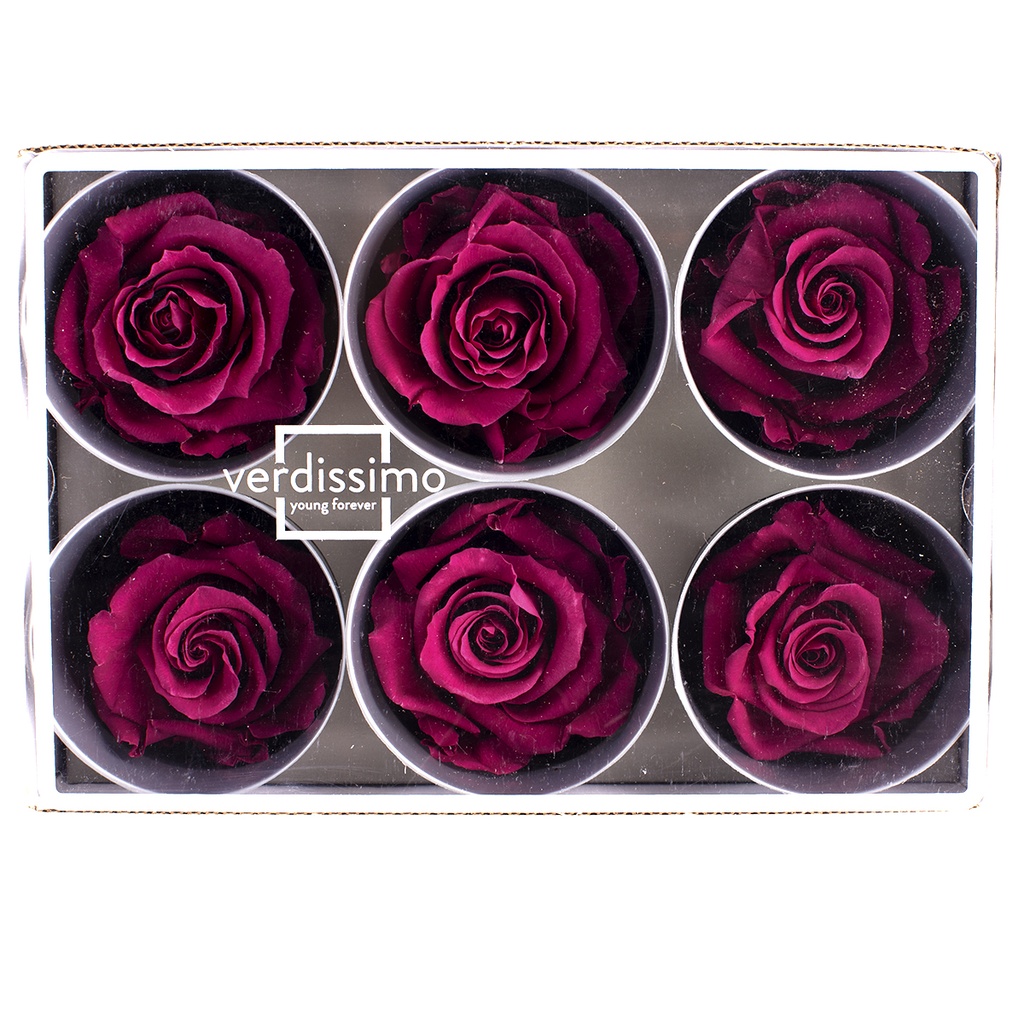 RST/2840 Têtes de Roses Standard stabilisée Purple Boite de 6 têtes