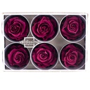 RST/2840 Têtes de Roses Standard stabilisée Purple Boite de 6 têtes