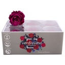 RST/2840 Têtes de Roses Standard stabilisée Purple Boite de 6 têtes