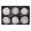 RSX/2000 Têtes de Roses Extra stabilisée Blanc W-Box 6 têtes