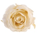 RSX/2020 Têtes de Roses Extra stabilisée Champagne W-Box 6 têtes