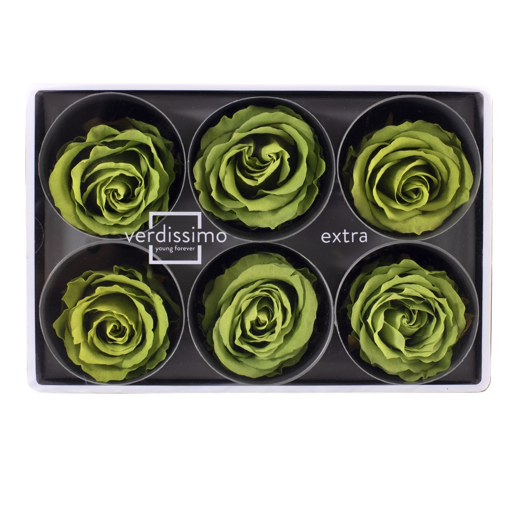 RSX/2150 Têtes de Roses Extra stabilisée Thé vert W-Box 6 têtes