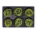RSX/2150 Têtes de Roses Extra stabilisée Thé vert W-Box 6 têtes