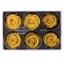 RSX/2340 Têtes de Roses Extra stabilisée Jaune Vif W-Box 6 têtes