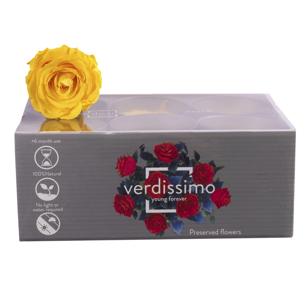 RSX/2340 Têtes de Roses Extra stabilisée Jaune Vif W-Box 6 têtes