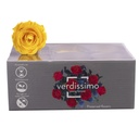 RSX/2340 Têtes de Roses Extra stabilisée Jaune Vif W-Box 6 têtes