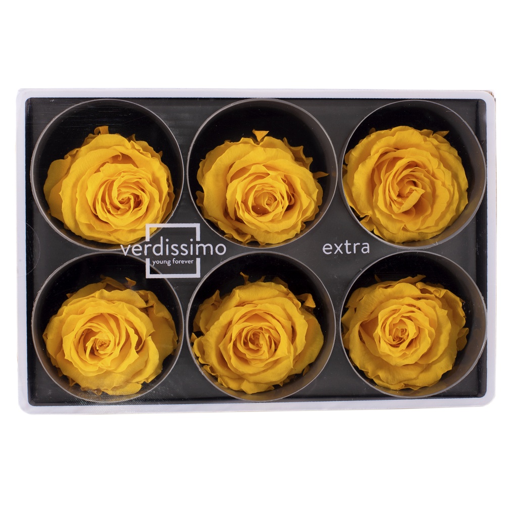 RSX/2350 Têtes de Roses Extra stabilisée Jaune Chaud W-Box 6 têtes