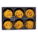 RSX/2350 Têtes de Roses Extra stabilisée Jaune Chaud W-Box 6 têtes