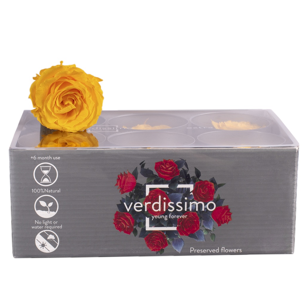 RSX/2350 Têtes de Roses Extra stabilisée Jaune Chaud W-Box 6 têtes