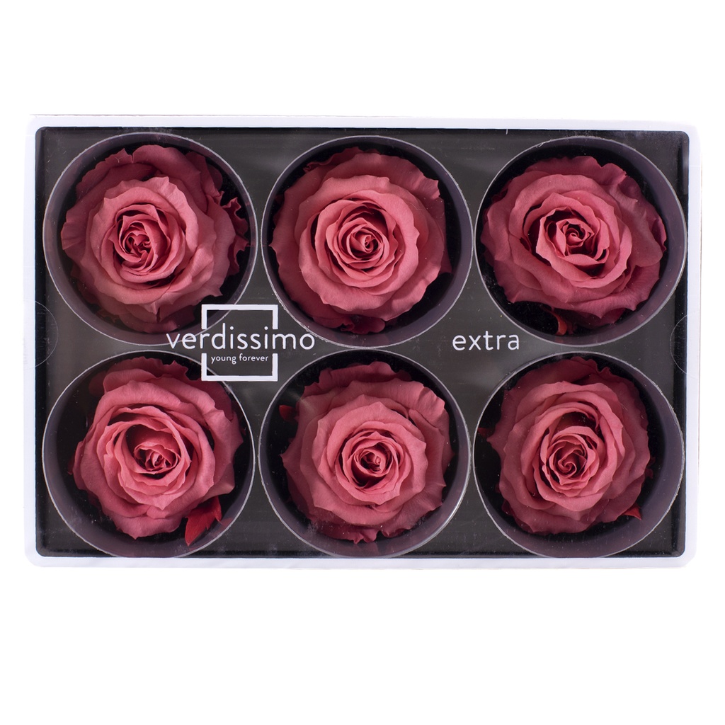 RSX/2490 Têtes de Roses Extra stabilisée Rose Foncé W-Box 6 têtes