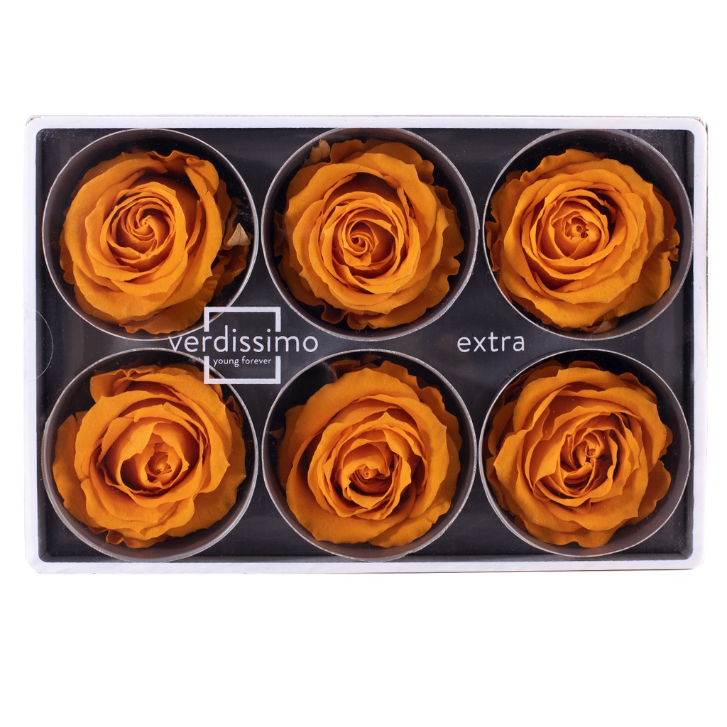 RSX/2530 Têtes de Roses Extra stabilisée Orange W-Box 6 têtes