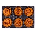 RSX/2530 Têtes de Roses Extra stabilisée Orange W-Box 6 têtes