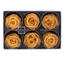 RSX/2550 Têtes de Roses Extra stabilisée Pêche W-Box 6 têtes