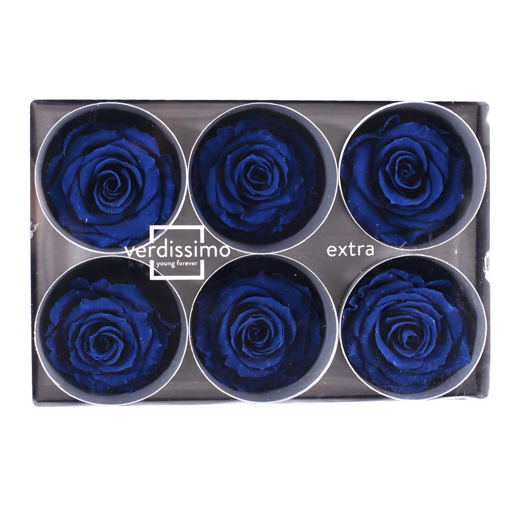 RSX/2630 Têtes de Roses Extra stabilisée Bleu foncé W-Box 6 têtes