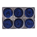 RSX/2630 Têtes de Roses Extra stabilisée Bleu foncé W-Box 6 têtes