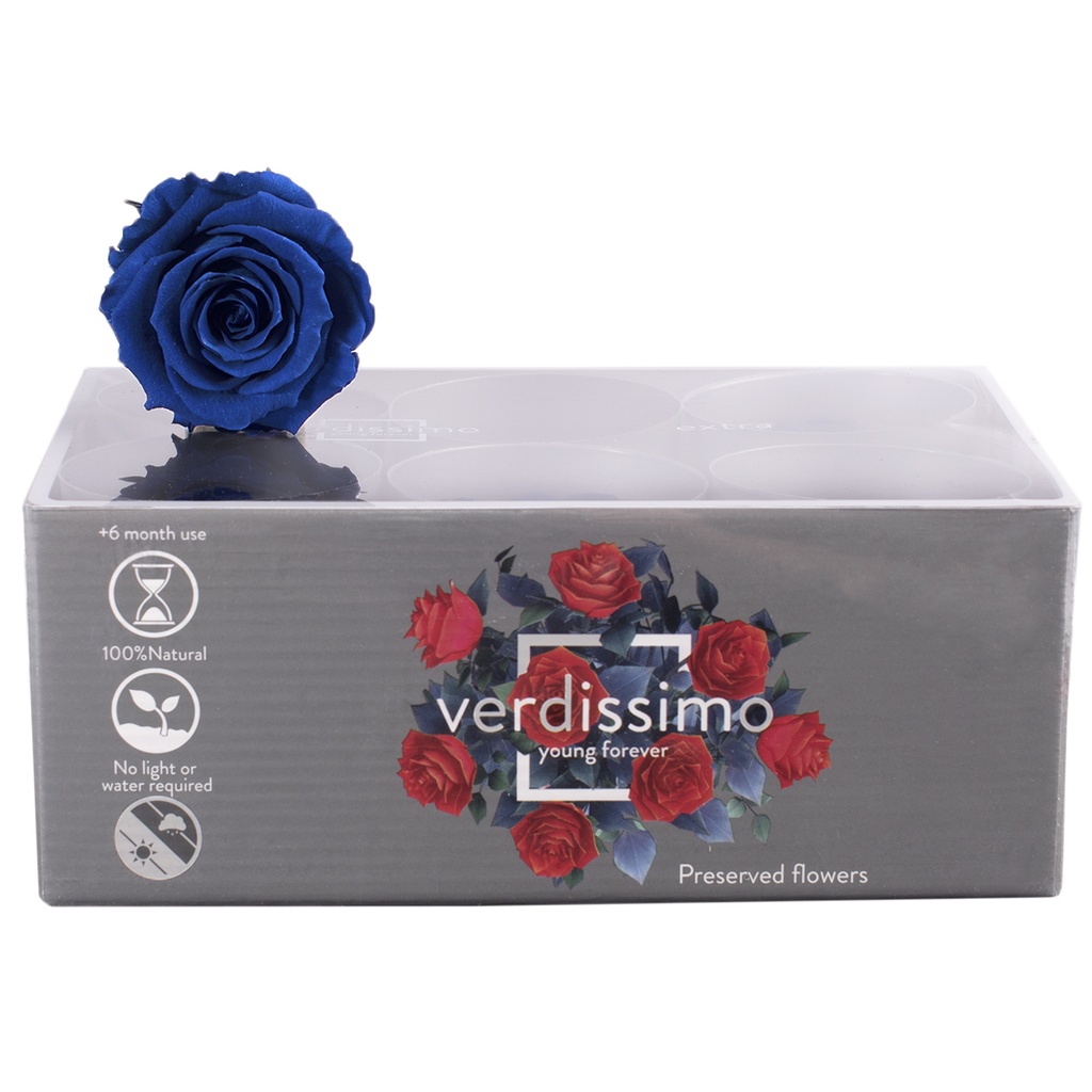 RSX/2630 Têtes de Roses Extra stabilisée Bleu foncé W-Box 6 têtes