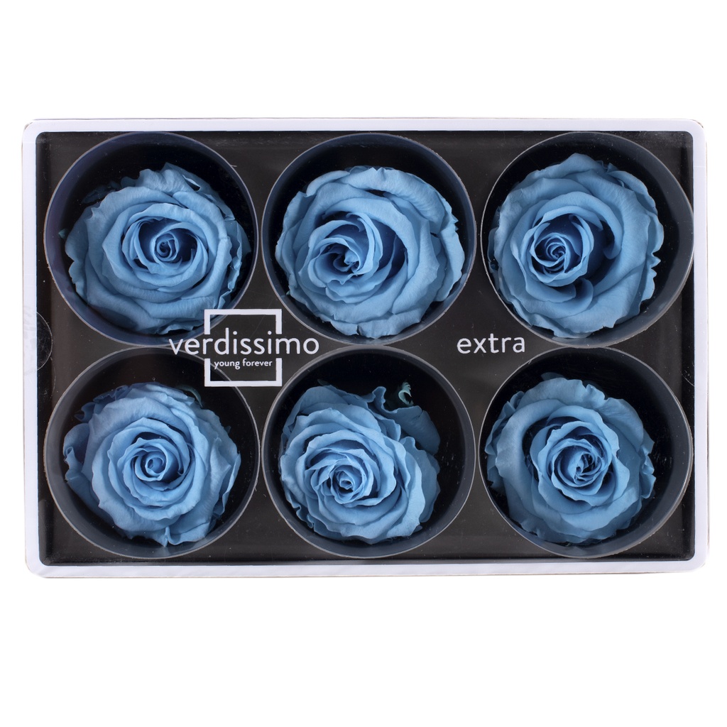 RSX/2640 Têtes de Roses Extra stabilisée Bleu clair W-Box 6 têtes