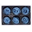 RSX/2640 Têtes de Roses Extra stabilisée Bleu clair W-Box 6 têtes