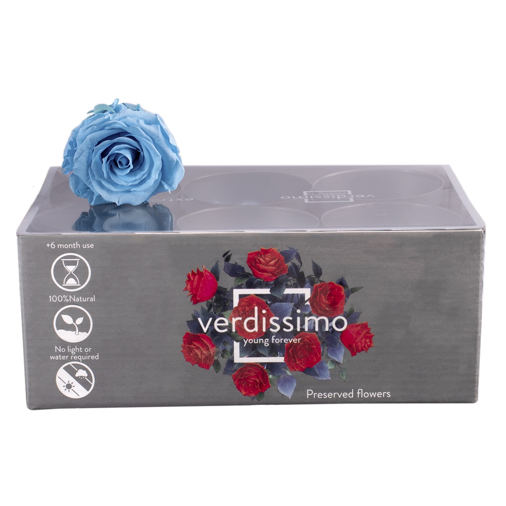 RSX/2640 Têtes de Roses Extra stabilisée Bleu clair W-Box 6 têtes