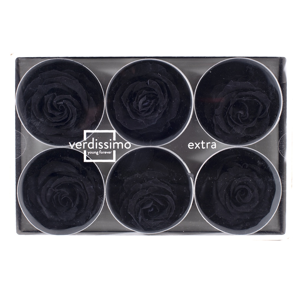 RSX/2990 Têtes de Roses Extra stabilisée Noir W-Box 6 têtes