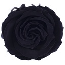 RSX/2990 Têtes de Roses Extra stabilisée Noir W-Box 6 têtes