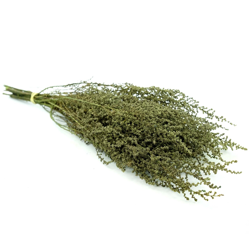 STB/0103 Stoebe stabilisée Vert 30-50 cm
