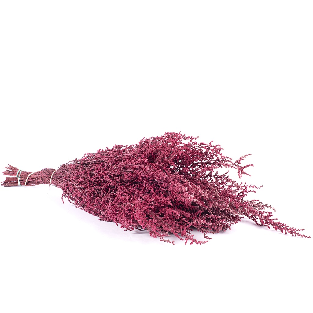 STB/0713 Stoebe stabilisée Byzance 30-50 cm