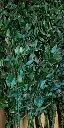 WhatsApp Image 2025-05-08 at 14.22.20.webp