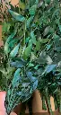 WhatsApp Image 2025-05-08 at 14.21.50.webp