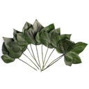 HEH/9100 Lierre Hedera Arborea stabilisée Grand Feuilles Vert 20-30cm X 10 pcs