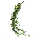 HEP/9103 Lierre Hedera Helix stabilisée Vert 50-70cm