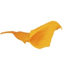 MCL/5350 Calla Lilyi stabilisiert Warmes Gelb W-Box 5 knospen