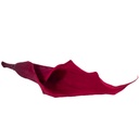 MCL/5800 Calla Lilyi stabilisierte Burgund W-Box 5 knospen