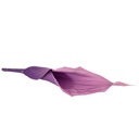 MCL/5830 Calla Lilyi stabilisierte Flieder W-Box 5 knospen