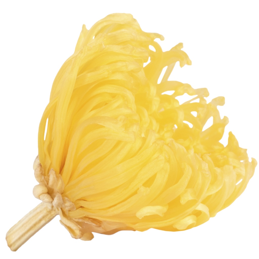 ANA/2350 Chrysantheme Anastasia stabilisierte Warmes Gelb W-Box 4 knospen