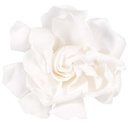 GAR/2000 Gardenia Bianco Stabilizzato W-Box 3 teste