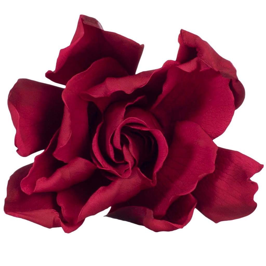 GAR/2800 Gardenia preserved Burgundy W-Box 3 heads