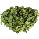 HRT/0100 Hydrangea Standard stabilisierte Olive Grün 1 blumenstrauss 50 gr
