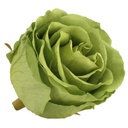 RSX/2150 Rose Heads Extra preserved Green Tea 6 Ud