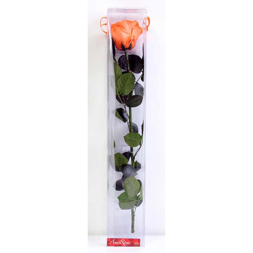 PRZ/7530 Amorosa Premium Stabilisierte Naranja