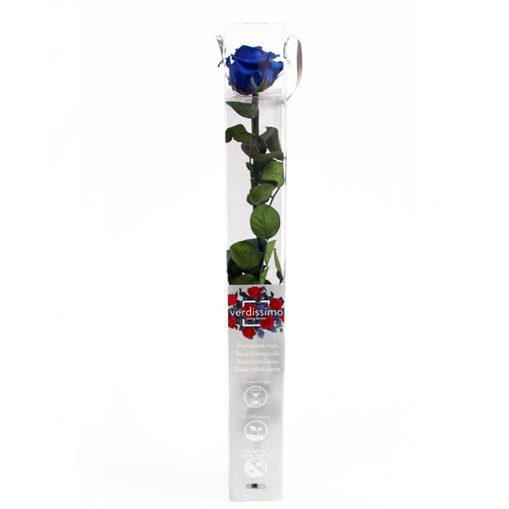 PRZ/1630 Rose Amorosa stabilisée Azur