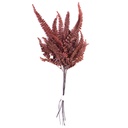 FFE/9203 Felci Farn Stabilisierte Rot 15-25 cm