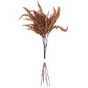 FFE/9503 Felci Farn Stabilisierte Orange 15-25 cm