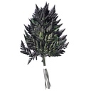 FLC/6105 Fougère Cuir stabilisée Vert 30-35 cm