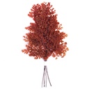 FLU/9203 Lutti Farn Stabilisierte Rot 20-30 cm
