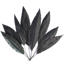 TRL/9103 Tropical blatt Stabilisierte Grün 25-35 cm
