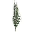 PHP/0112 Phoenix Stabilisierte Grün 120-150 cm