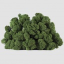 LIC/0554 Stabilisierten Islandmoos Grün — W-Box 0,5 kg
