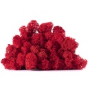 LIC/0557 Stabilisierten Islandmoos Rot - W-Box 0,5 kg